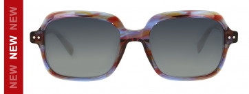 1921 Sun 80271